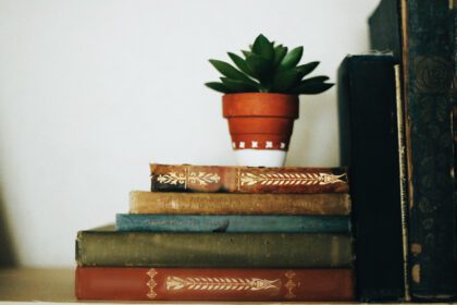 academia and fiction books academia and fiction books