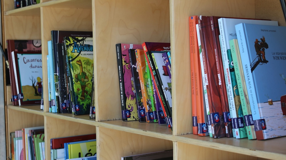 A square brown cubby hole bookshelf at the library. In the cubby holes holds a variety of children's books, mostly picture books.